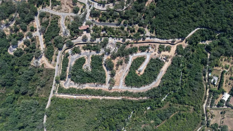 Foto 4