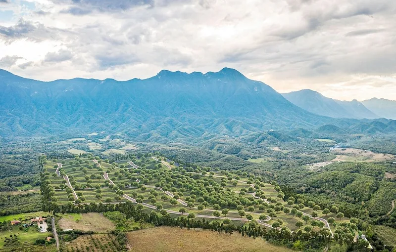 Lote en venta · Lazarillos de Abajo, Allende, Nuevo León