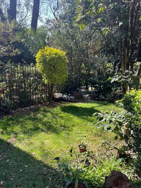 Condominio en venta · Coyoacán, Ciudad de México