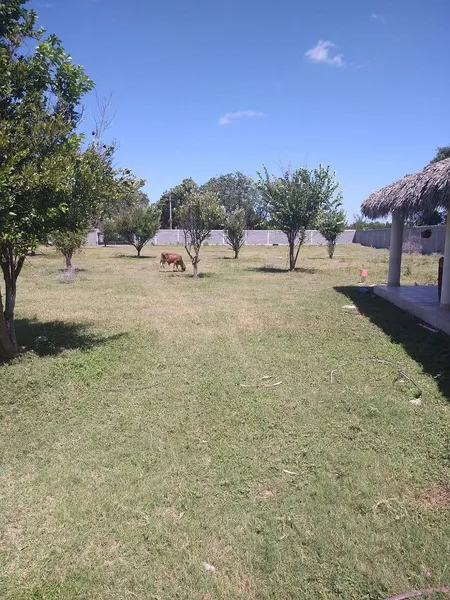 Casa en venta · Padre Mier, Montemorelos, Nuevo León