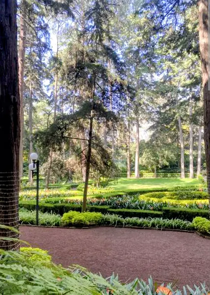 Departamento en venta · Bosques del Pedregal, Tlalpan, Ciudad de México