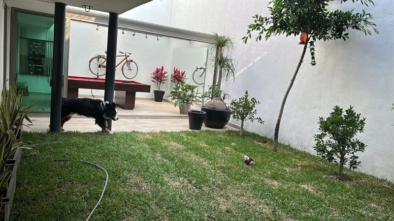 Foto 35