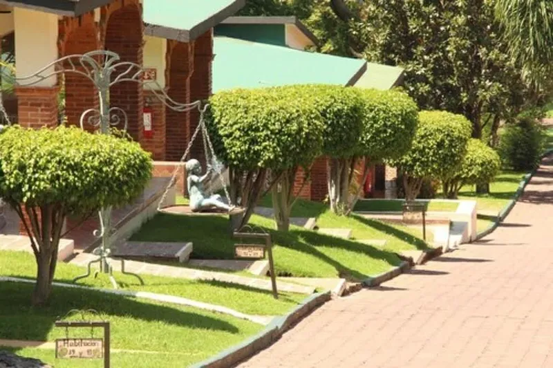 Foto 6