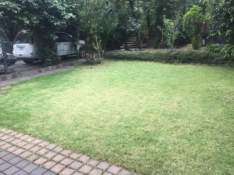 Foto 21