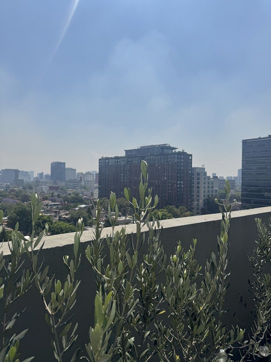 Foto 19
