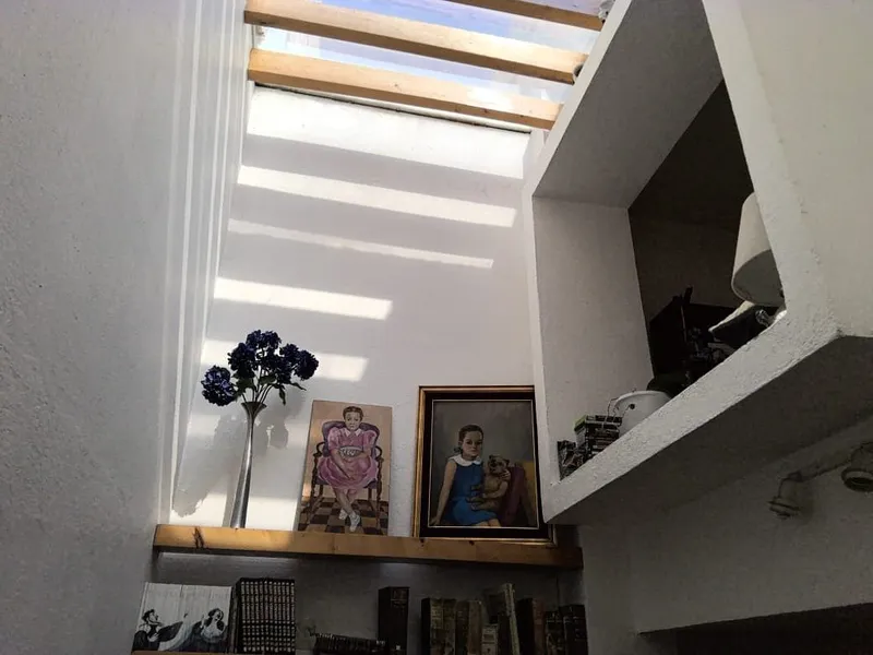 Foto 7