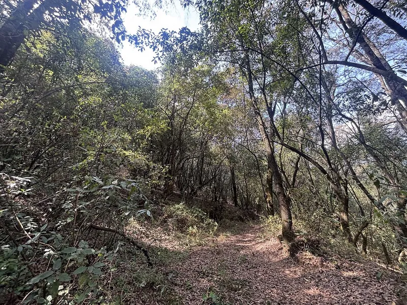 Foto 7