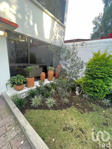 Foto 37