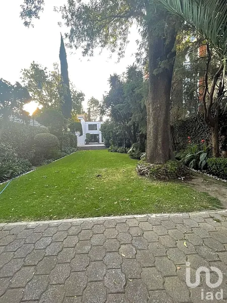 Foto 33