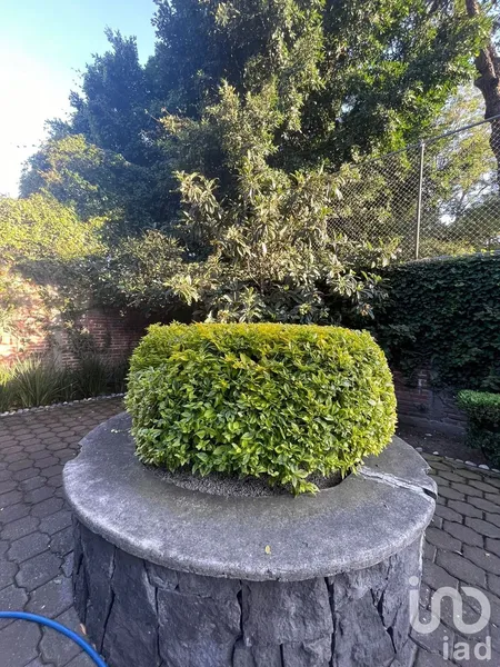 Foto 30