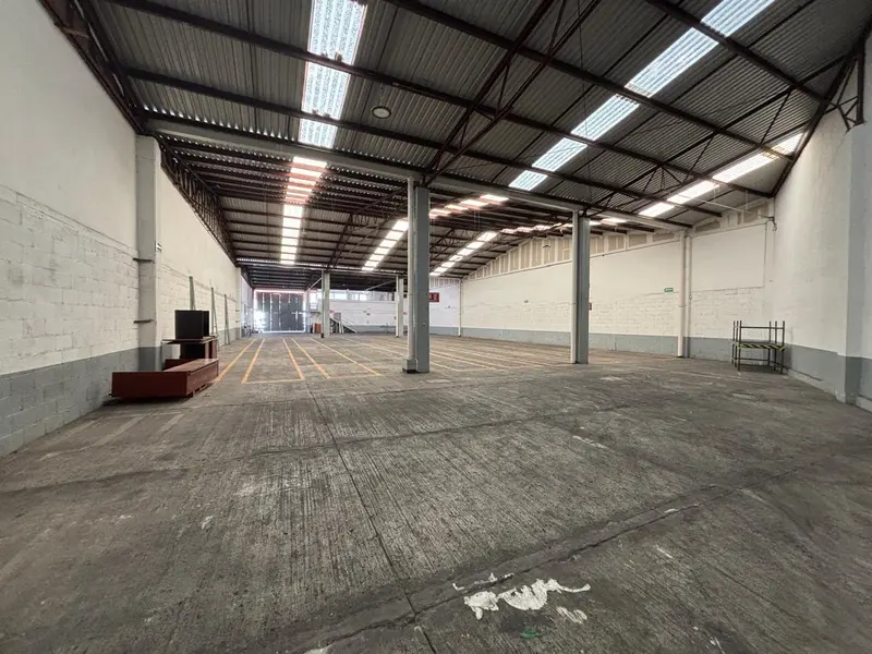 7. BODEGA L-A 7.jpeg