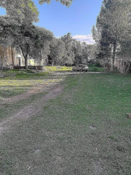Foto 8
