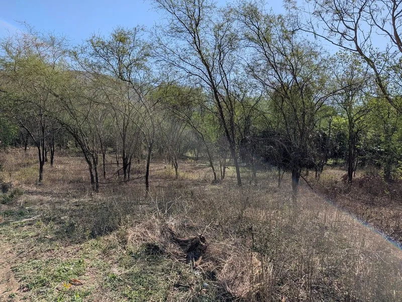 Casa en venta · Bosques de las Misiones Sector Magnolia, Santiago, Nuevo León