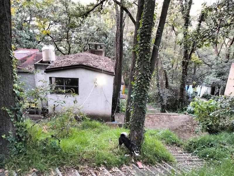 Foto 14