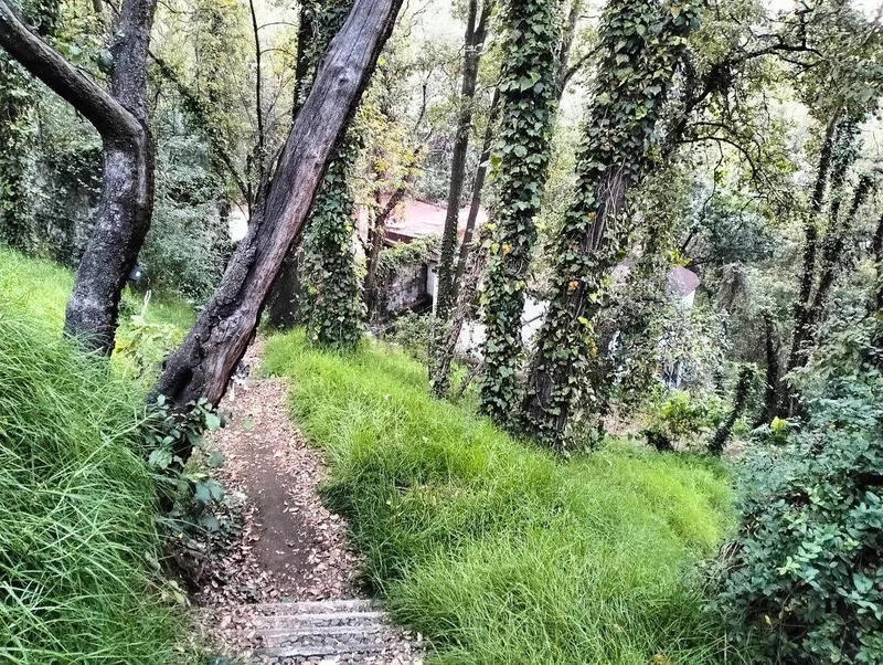 Foto 12