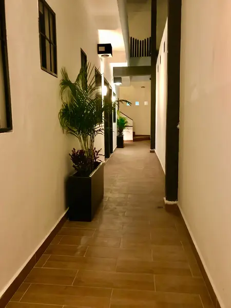 Foto 8