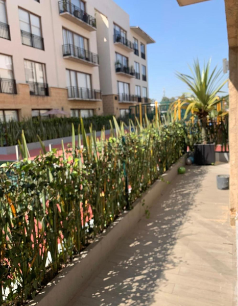 Departamento en venta · Olivar de los Padres, Álvaro Obregón, Ciudad de México