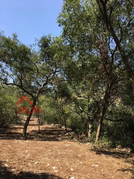 Lote en venta · El Barro, Monterrey, Nuevo León