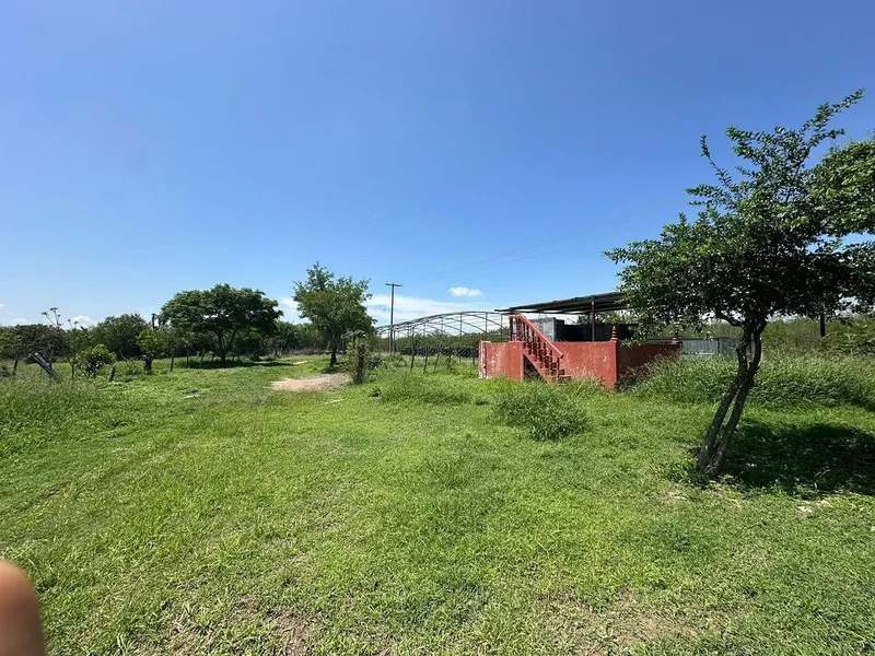 Foto 19