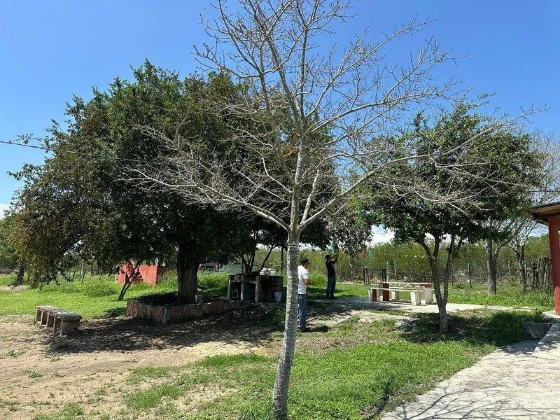 Foto 18