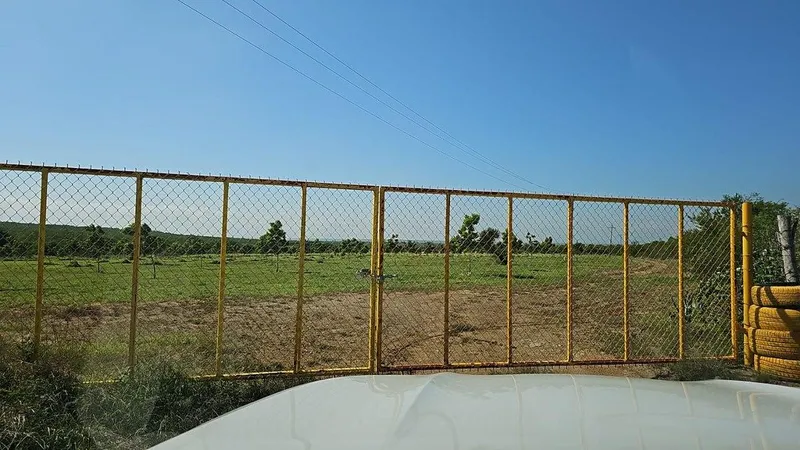 Foto 15