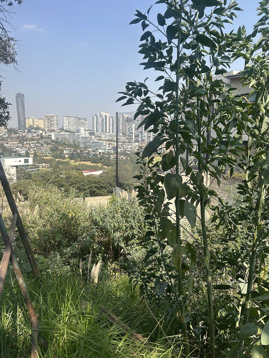 Lote en venta · Bosque Real, Huixquilucan, Estado de México Lote en venta · Bosque Real, Huixquilucan, Estado de México