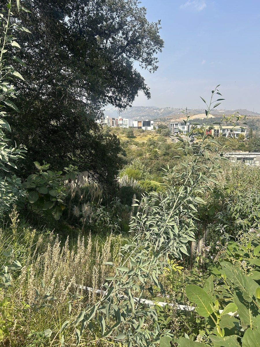 Lote en venta · Bosque Real, Huixquilucan, Estado de México Lote en venta · Bosque Real, Huixquilucan, Estado de México