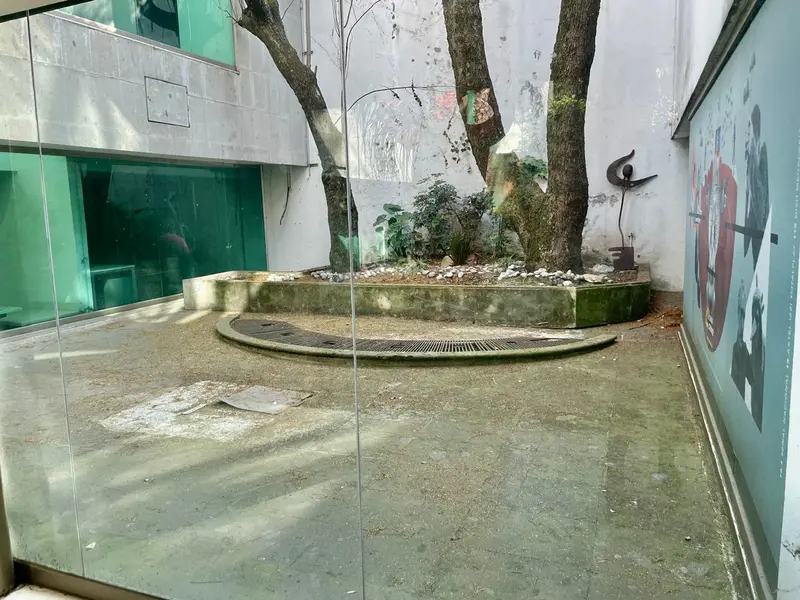 WhatsApp Image 2026-01-19 at 14.48.13.jpeg
