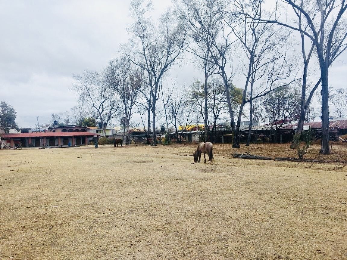 Lote en venta · Granjas Lomas de Guadalupe, Cuautitlán Izcalli, Estado de México Lote en venta · Granjas Lomas de Guadalupe, Cuautitlán Izcalli, Estado de México