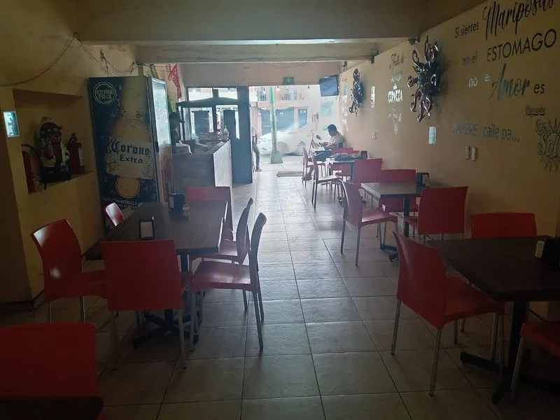 Foto 14