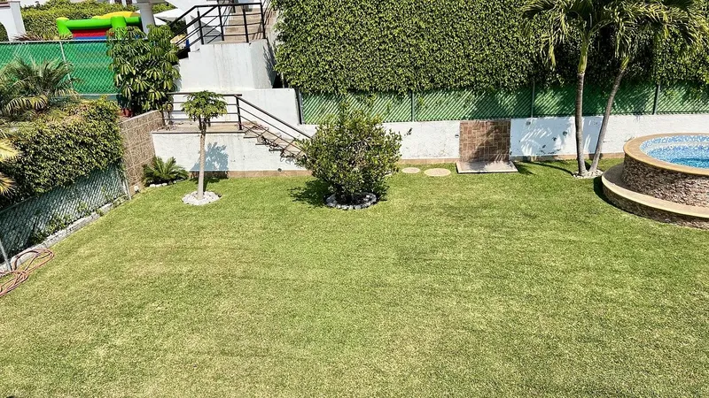 Foto 7