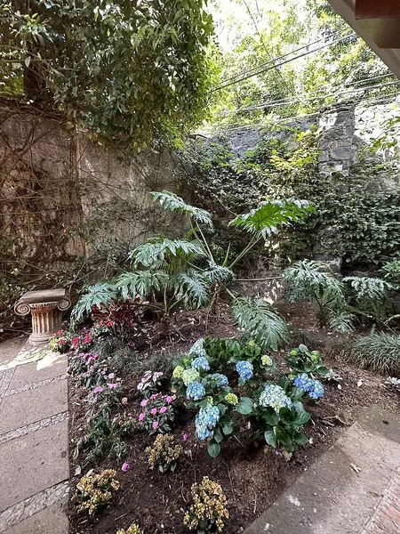 Foto 16