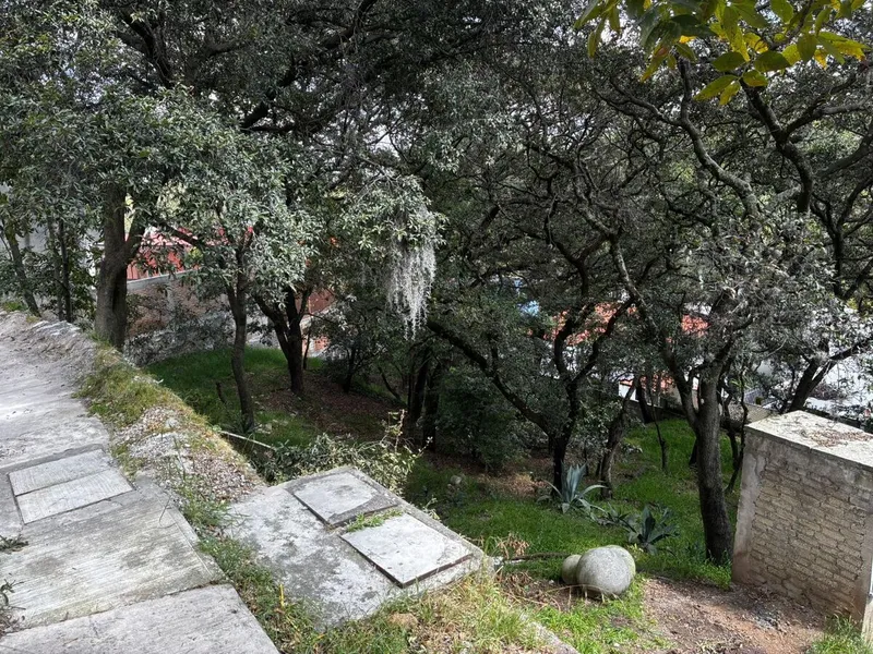 Foto 4