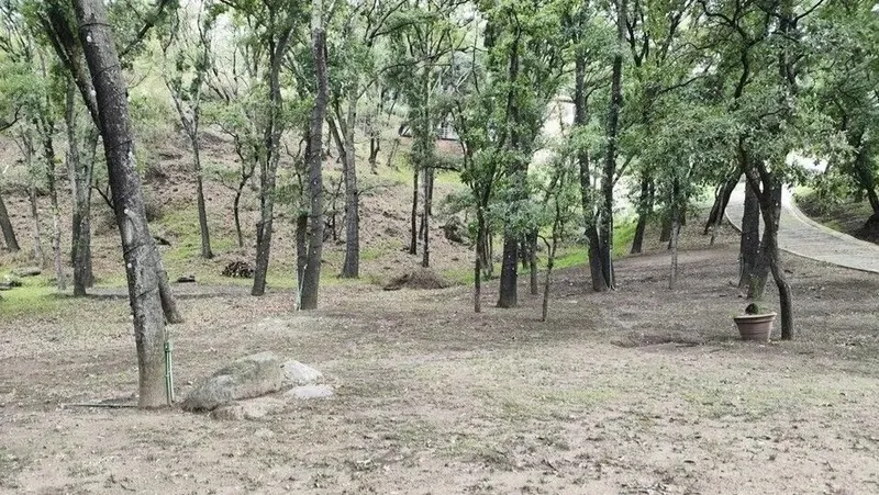Foto 42