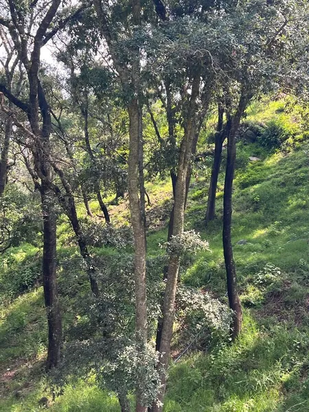 Foto 40