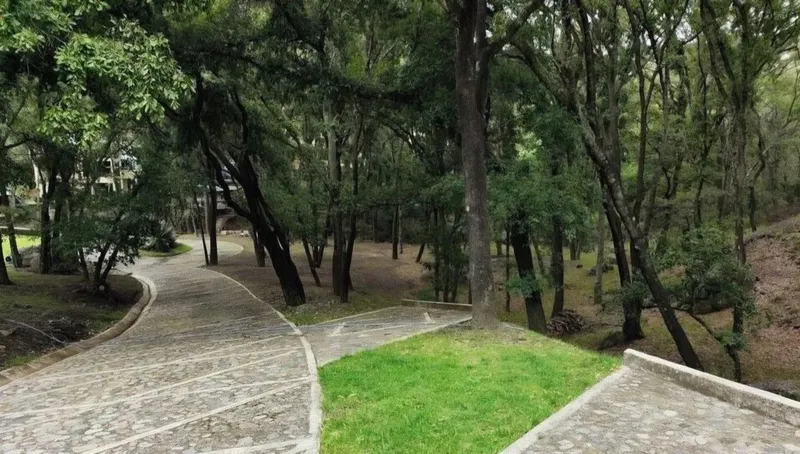 Foto 41