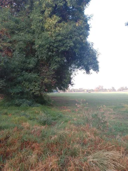 Foto 39