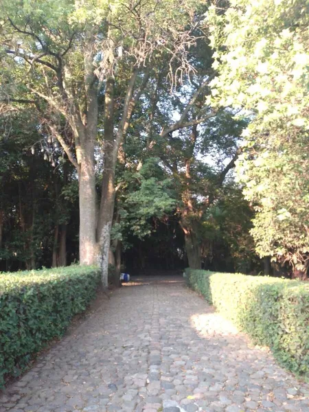 Foto 22