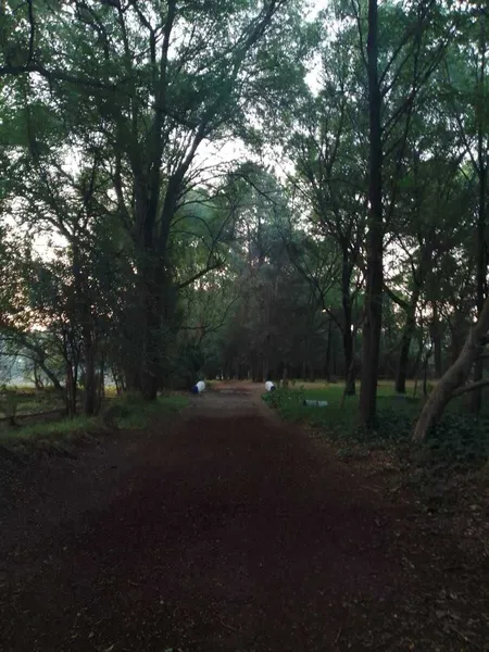 Foto 16