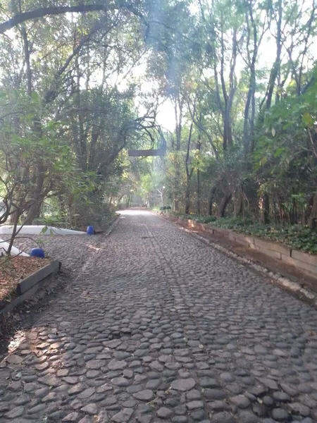 Foto 12