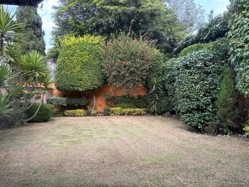 Foto 15