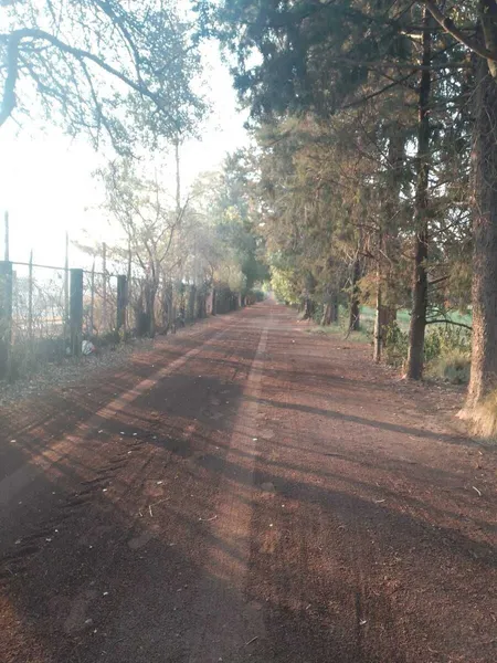 Foto 21