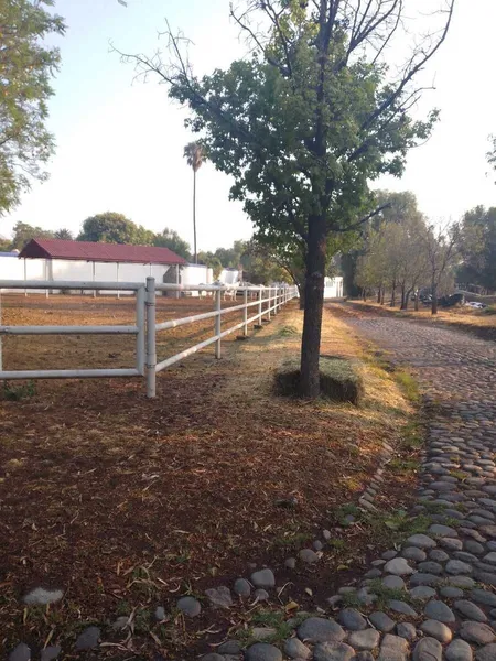 Lote en venta · Santiaguito, Texcoco, Estado de México