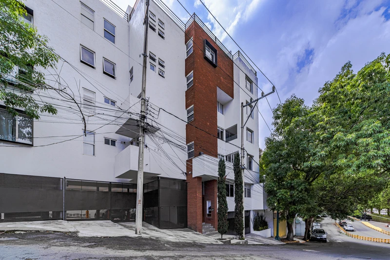 17262 - CGC _ Chotacabras 28-16.jpg