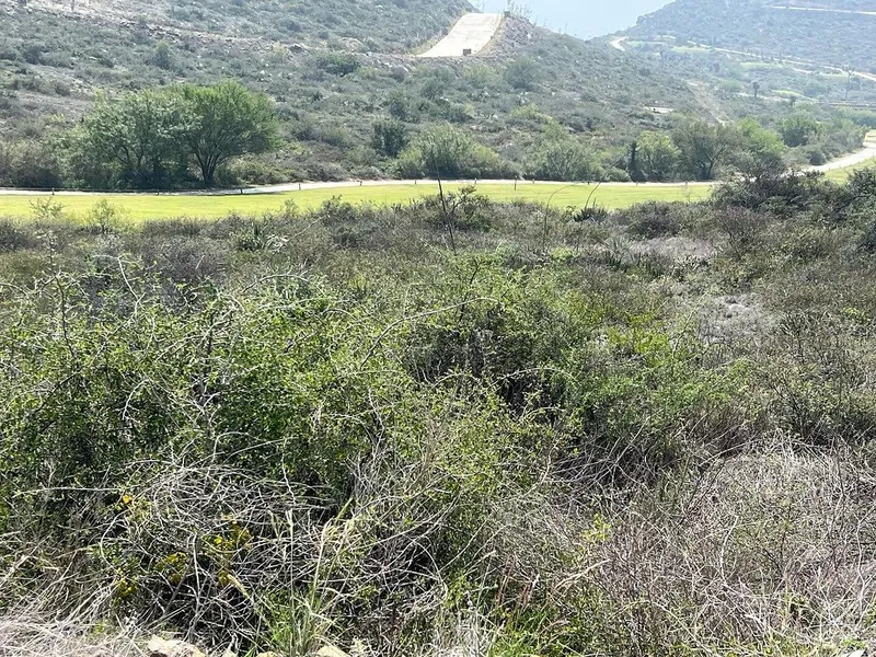 Lote en venta · Terralta Residencial Country Club, García, Nuevo León