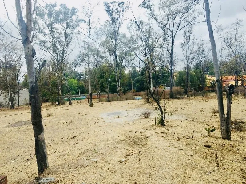 Foto 14