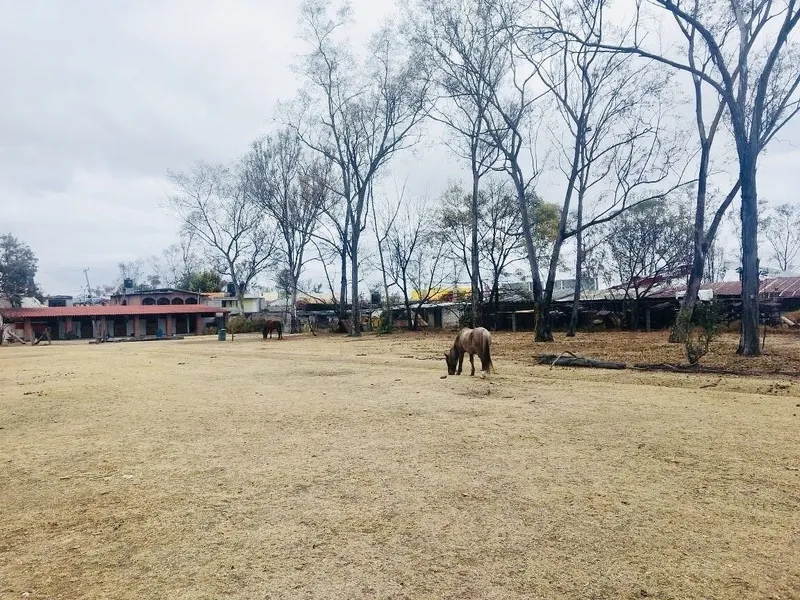 Lote en venta · Granjas Lomas de Guadalupe, Cuautitlán Izcalli, Estado de México Lote en venta · Granjas Lomas de Guadalupe, Cuautitlán Izcalli, Estado de México