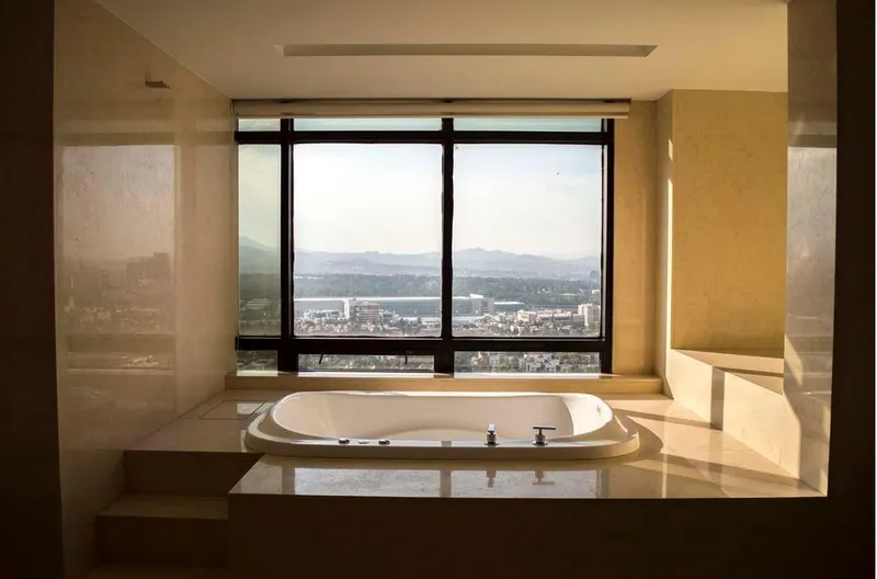 palmas baño rec. principal.JPG