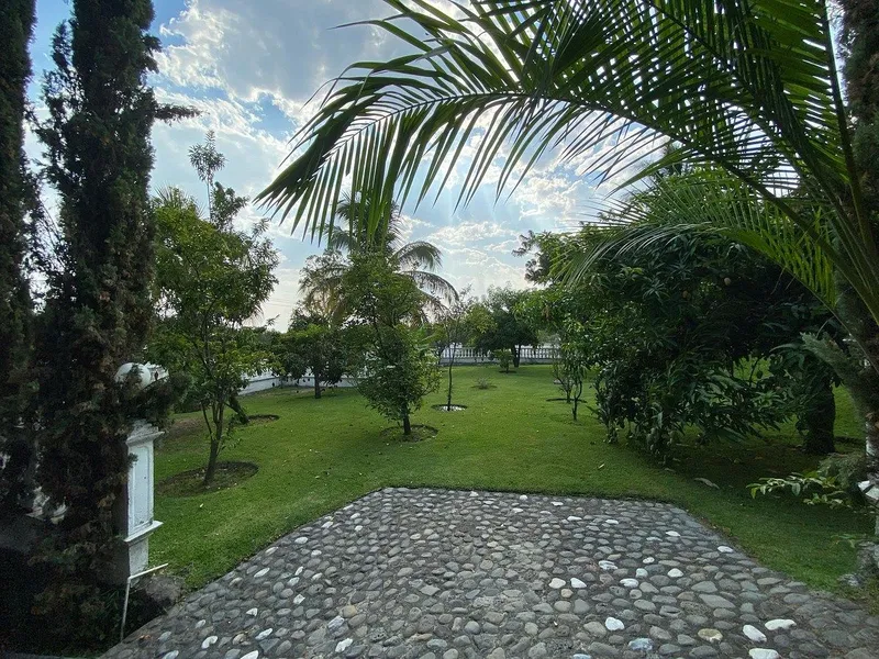 Foto 7