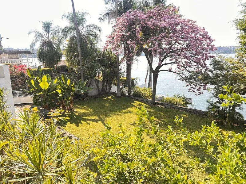 Foto 49